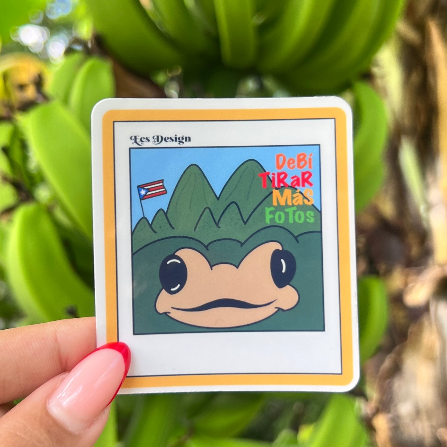 Foto de Sapo Concho DTMF | Premium Sticker