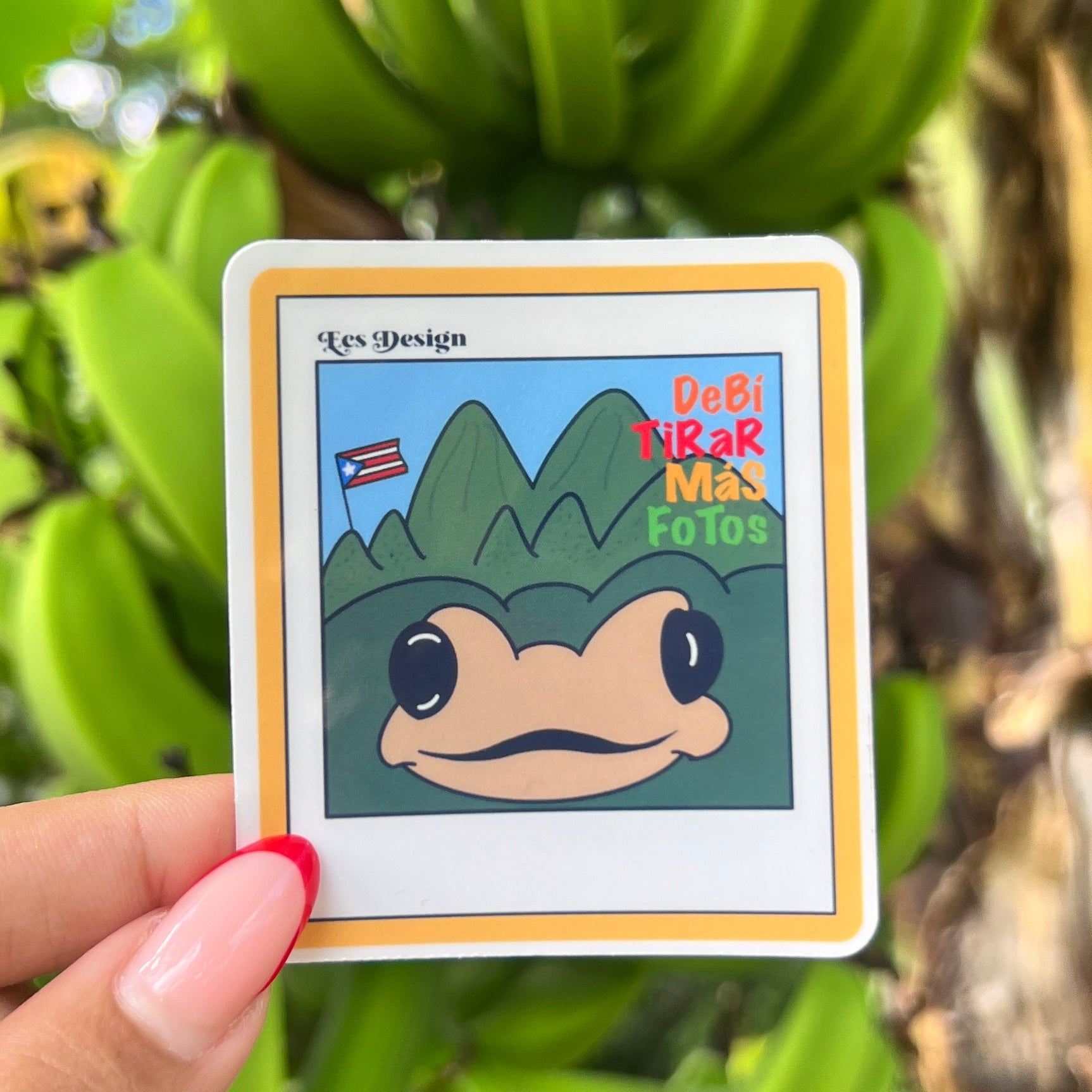 Foto de Sapo Concho DTMF | Premium Sticker